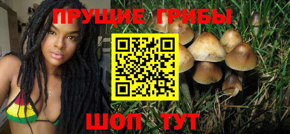 Галлюциногенные грибы MAGIC MUSHROOMS Чехов